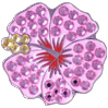 Bella Crystal Ball Marker - Pink Hibiscus
