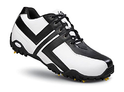 Intheholegolf.com 2010A