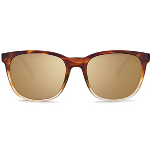 Product Display Kaenon Calafia Polarized Sunglasses - Tortoise