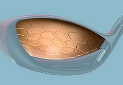 Crown Cell Weighting