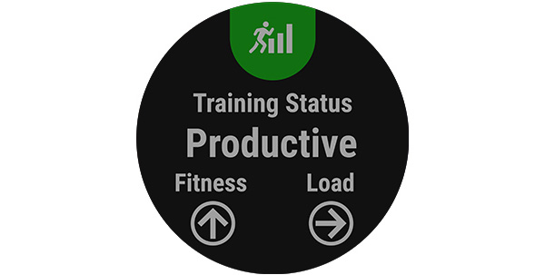 garmin fenix 5 multisport gps watch