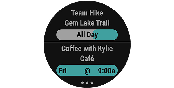 garmin fenix 5 multisport gps watch