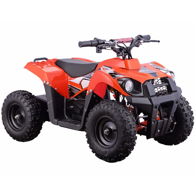 go bowen mini quad